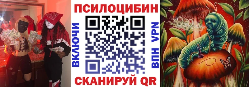 Галлюциногенные грибы мицелий  сколько стоит  Петухово 